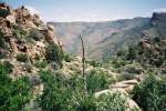 photo thumbnail #9