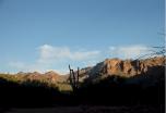 photo thumbnail #14