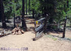 photo thumbnail #11