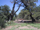 photo thumbnail #13