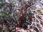 photo thumbnail #8