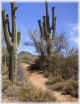 photo thumbnail #3
