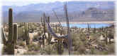 photo thumbnail #4