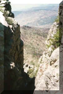 photo thumbnail #4