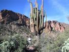 photo thumbnail #4