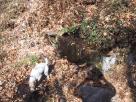 photo thumbnail #6
