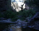 photo thumbnail #1