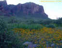 photo thumbnail #4