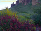 photo thumbnail #7