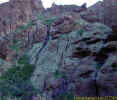 photo thumbnail #12