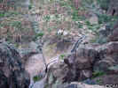 photo thumbnail #15