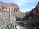 photo thumbnail #6