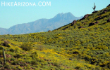 photo thumbnail #4