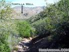 photo thumbnail #4