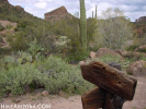 photo thumbnail #9