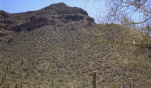 photo thumbnail #2