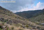 photo thumbnail #13