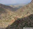 photo thumbnail #14