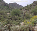 photo thumbnail #4
