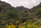 photo thumbnail #5