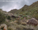 photo thumbnail #6