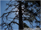 photo thumbnail #15