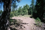 photo thumbnail #10