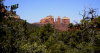 photo thumbnail #11