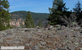 photo thumbnail #5