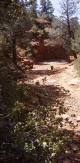 photo thumbnail #3
