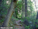 photo thumbnail #9
