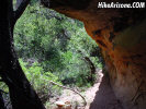 photo thumbnail #10
