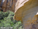 photo thumbnail #15