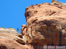 photo thumbnail #11