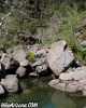 photo thumbnail #12