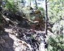 photo thumbnail #14