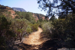 photo thumbnail #8