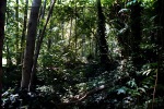 photo thumbnail #2