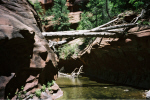 photo thumbnail #2