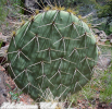 photo thumbnail #13