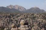 photo thumbnail #12
