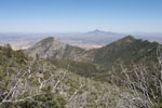 photo thumbnail #5