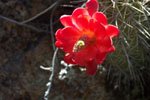 photo thumbnail #13